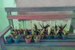 IMG-20240104-WA0011